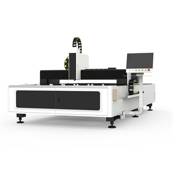 Iron Plate ss Lesar Fiber Laser 1000W Metal Sheet Cutting Machine